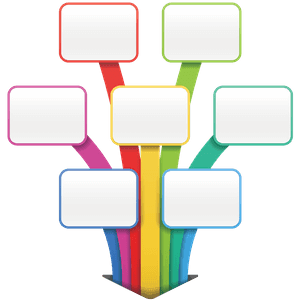 school module management